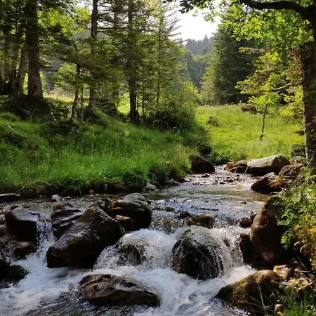 L'armazan - Pieds De Piste Plat D'adet Appartamento Saint-Lary-Soulan