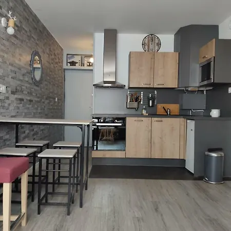 Apartment L'armazan - Pieds De Piste Plat D'adet Saint-Lary-Soulan