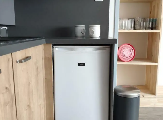 L'armazan - Pieds De Piste Plat D'adet Διαμέρισμα Saint-Lary-Soulan